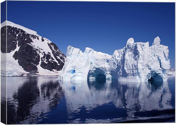 Icebergs in Antarctica 2 Canvas Print by Ruth Hallam