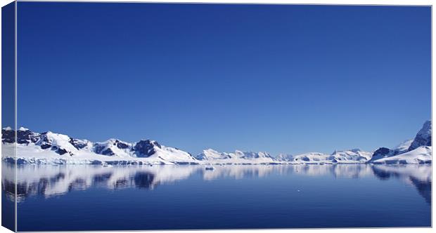 Icebergs in Antarctica 3 Canvas Print by Ruth Hallam