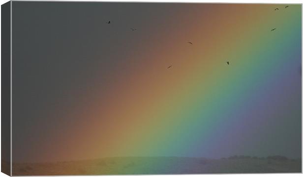 Rainbow Canvas Print by Ruth Hallam