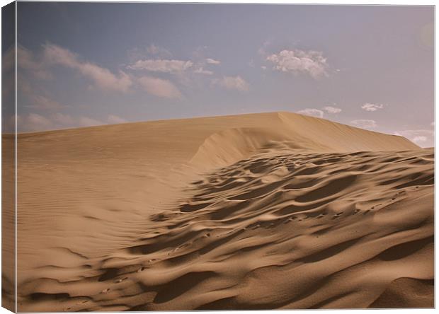 Sand dune Canvas Print by Paul Hutchings 