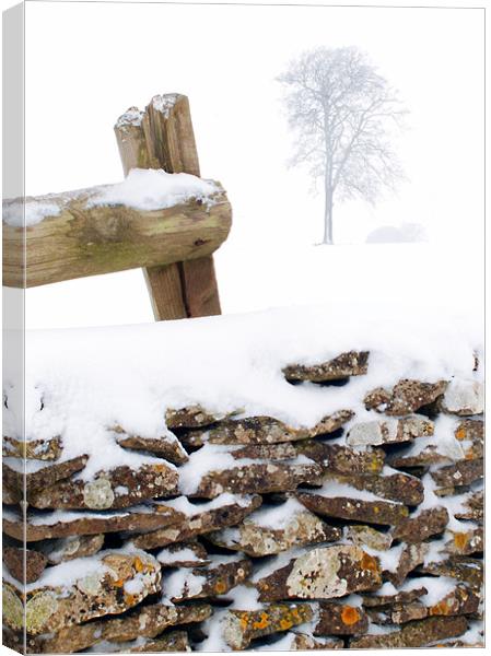 Cotswold drystone wall and field in winter Canvas Print by Steve Smith
