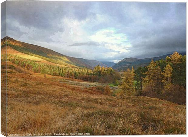 highland taste Canvas Print by dale rys (LP)