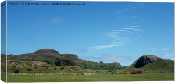 on canna  Canvas Print by dale rys (LP)