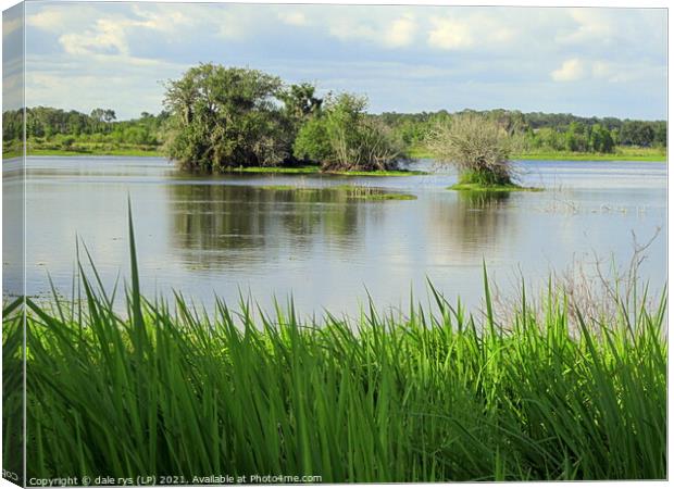 DOWN IN FLORIDA..flat as a pancake Canvas Print by dale rys (LP)