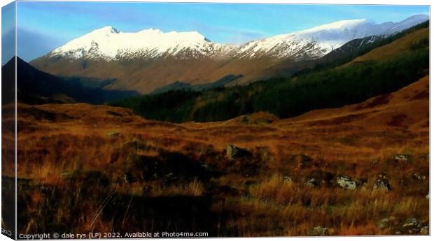 cluanie,highlands Canvas Print by dale rys (LP)