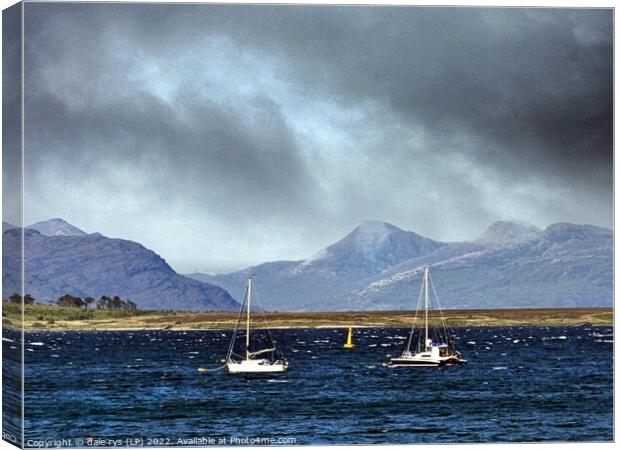 2 in a storm Canvas Print by dale rys (LP)