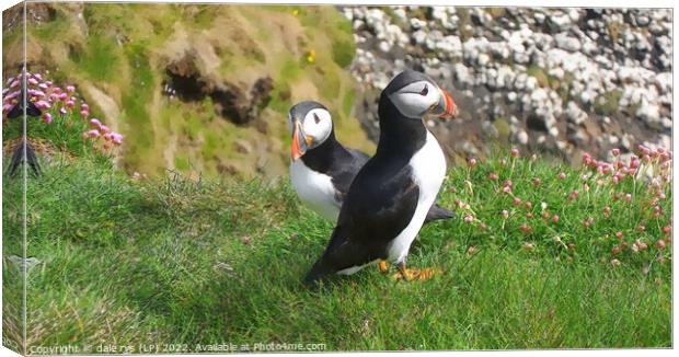 STAFFA PUFFINS Canvas Print by dale rys (LP)