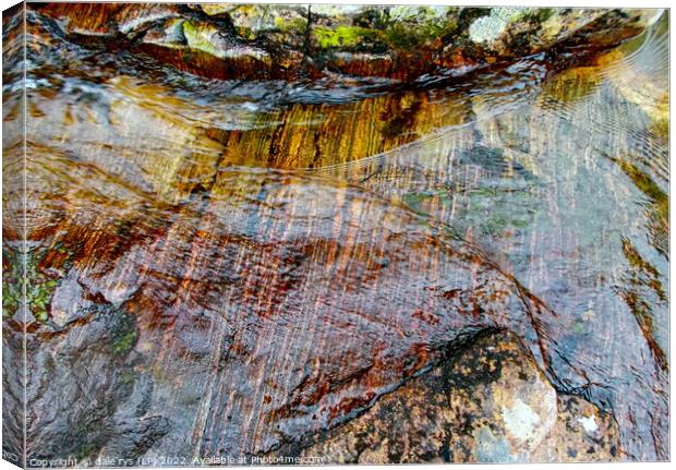 river bed Canvas Print by dale rys (LP)