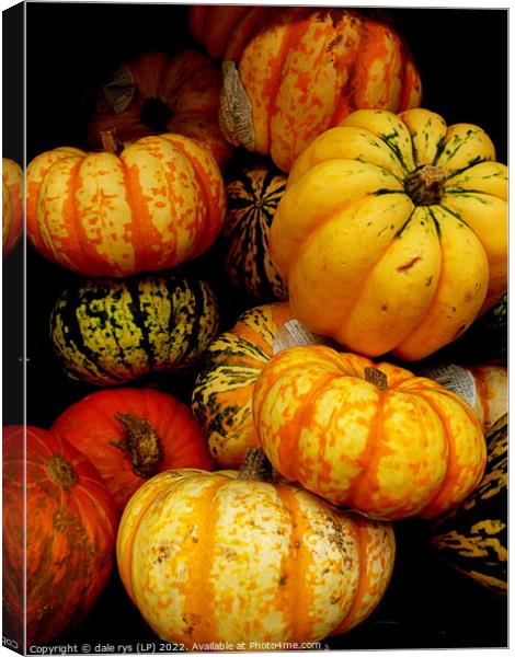 pumpkins Canvas Print by dale rys (LP)
