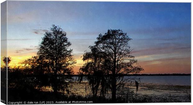 CYPRESS TREES florida sunset Canvas Print by dale rys (LP)