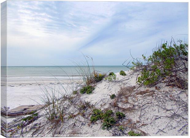 MADEIRA BEACH FLORIDA Canvas Print by dale rys (LP)