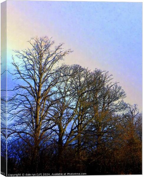 TREE'S IN WINTER RAIN Canvas Print by dale rys (LP)