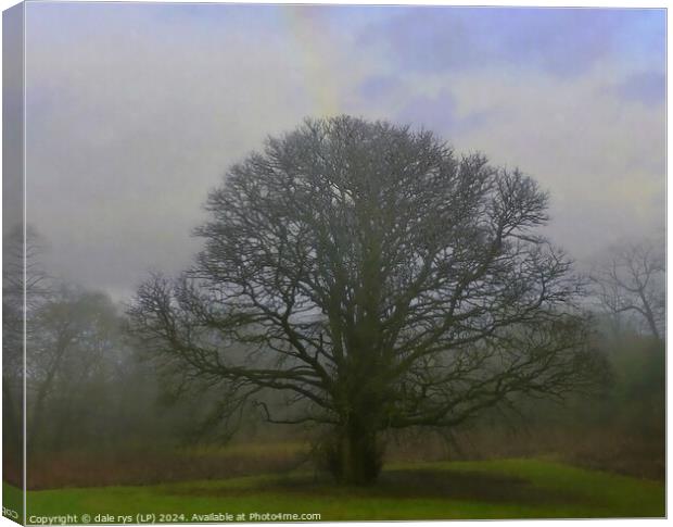 LONE MOODY TREE Canvas Print by dale rys (LP)