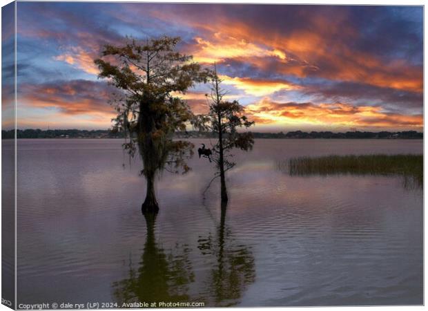 FLORIDA SUNSET Canvas Print by dale rys (LP)