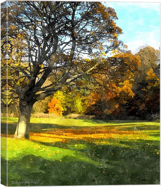 FALL COLORS 2 Canvas Print by dale rys (LP)