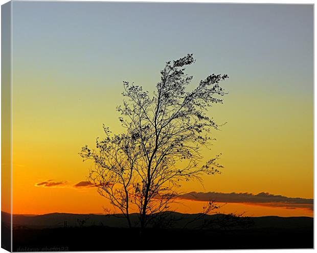 SUNSET ON THE HILL Canvas Print by dale rys (LP)