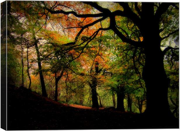 IN THE WOODS Canvas Print by dale rys (LP)