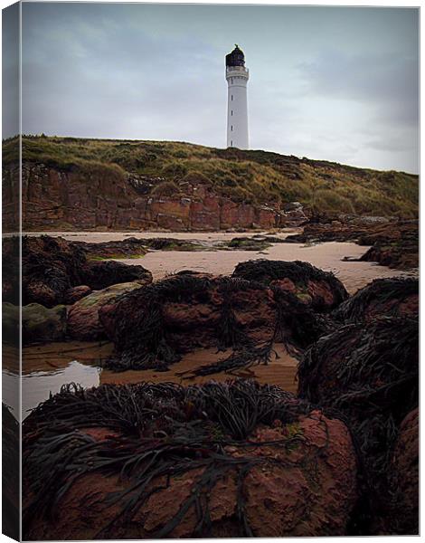 COVESEA LIGHTHOUSE 2 Canvas Print by dale rys (LP)