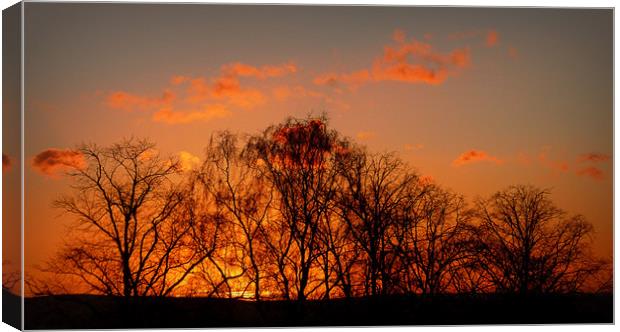 winter sunset Canvas Print by dale rys (LP)