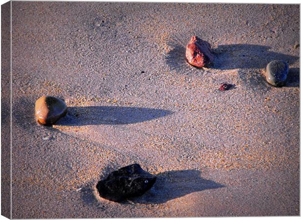 4 down at the beach Canvas Print by dale rys (LP)