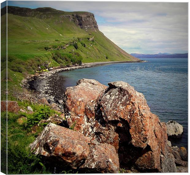 isle of skye Canvas Print by dale rys (LP)