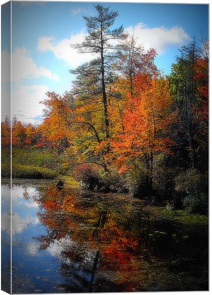 colorfull maine Canvas Print by dale rys (LP)