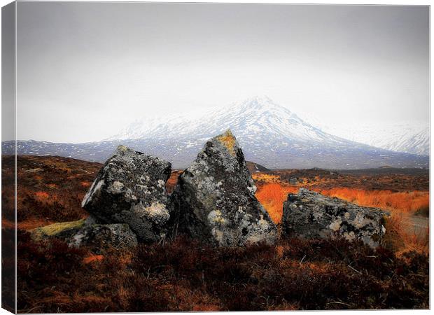 the highland rocks! Canvas Print by dale rys (LP)