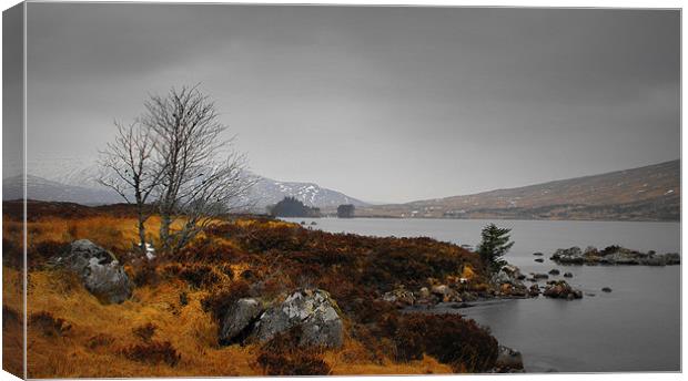 loch ossian 3 Canvas Print by dale rys (LP)