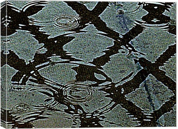 rain Canvas Print by dale rys (LP)