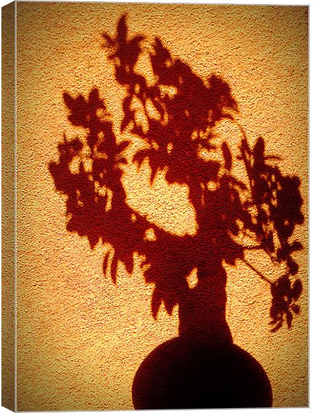 shadow tree Canvas Print by dale rys (LP)