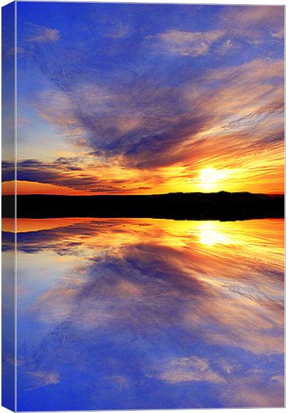 reflect on this2 Canvas Print by dale rys (LP)