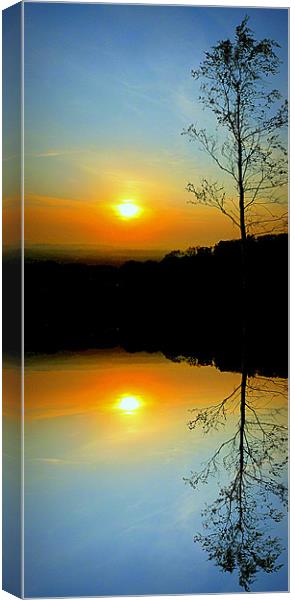 lone tree Canvas Print by dale rys (LP)