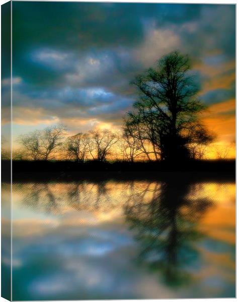 moody reflection Canvas Print by dale rys (LP)