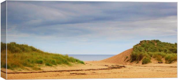 scottish beach Canvas Print by dale rys (LP)