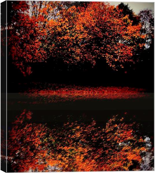 fall time Canvas Print by dale rys (LP)