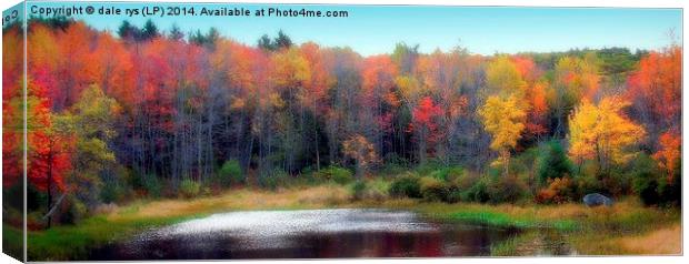 simply maine Canvas Print by dale rys (LP)