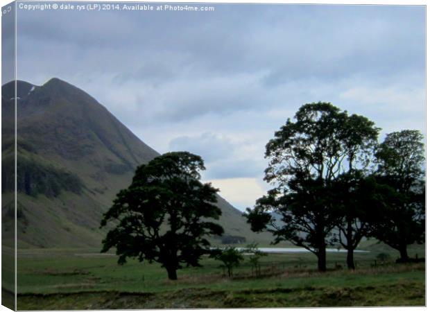 4 trees of glencoe Canvas Print by dale rys (LP)