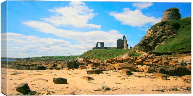 fife beach Canvas Print by dale rys (LP)