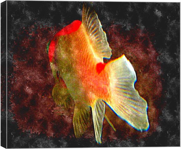 watercolor fish Canvas Print by dale rys (LP)
