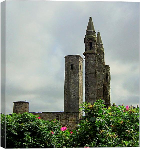  st andrews cathedral Canvas Print by dale rys (LP)