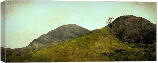  lone tree 0'glencoe Canvas Print by dale rys (LP)