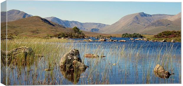  glencoe    Canvas Print by dale rys (LP)