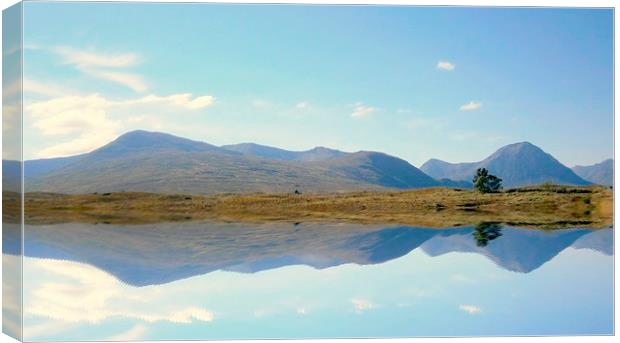  highland reflection    Canvas Print by dale rys (LP)