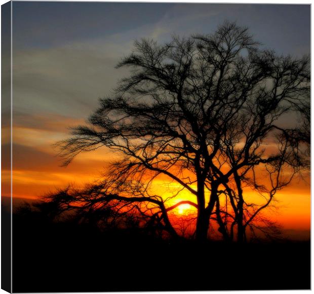  day's end    Canvas Print by dale rys (LP)