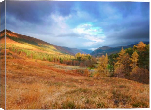  highland landscape     Canvas Print by dale rys (LP)