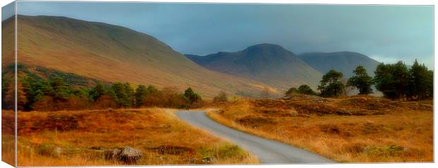  highland landscape     Canvas Print by dale rys (LP)