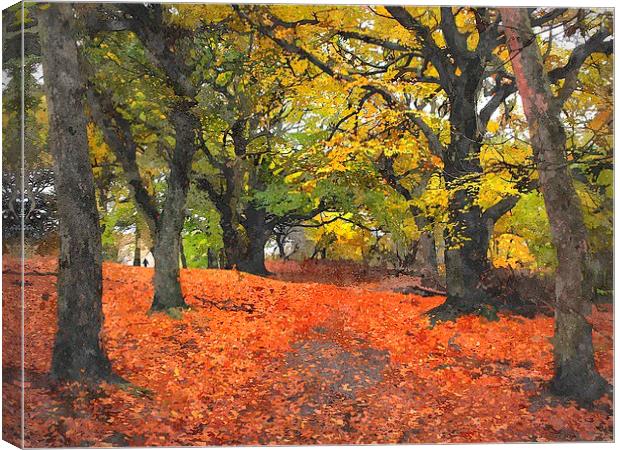  fall   Canvas Print by dale rys (LP)