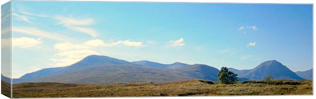  highland landscape      Canvas Print by dale rys (LP)