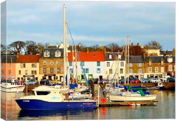  anstruther harbor   Canvas Print by dale rys (LP)