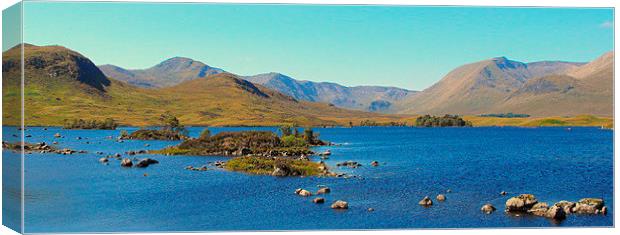  highland landscape   Canvas Print by dale rys (LP)